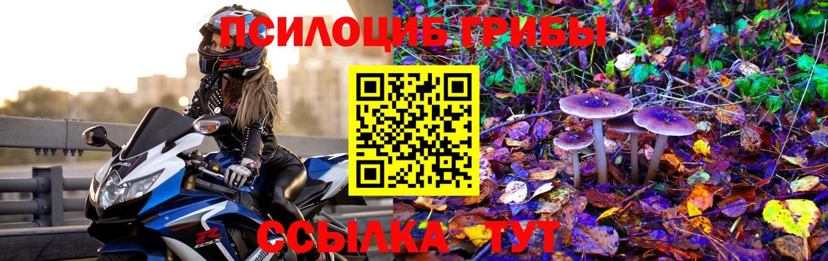 Псилоцибиновые грибы прущие грибы Будённовск